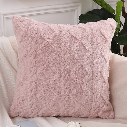 Throw Pillow Cushion Cover