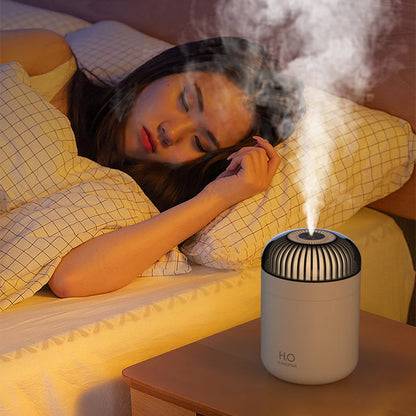 New Large Capacity Air Humidifier