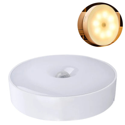 LED Night Light Motion Sensor Light